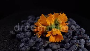 <strong>黑金</strong>银花浆果和橙花在黑色背景下旋转。